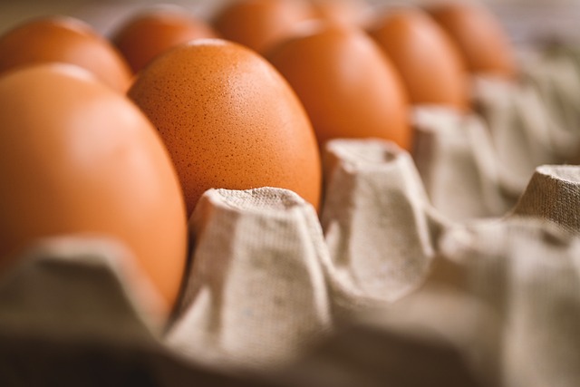 달걀, egg