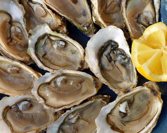굴, oyster