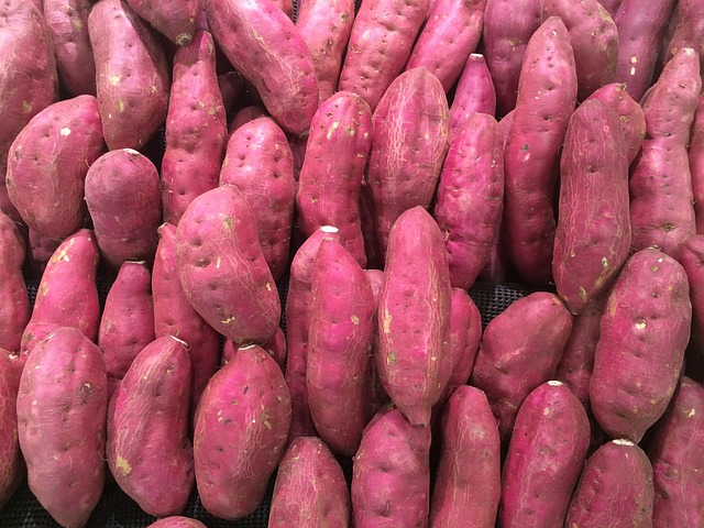 sweet potato, 고구마