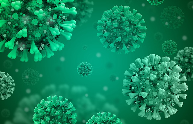 인플루엔자 바이러스, virus