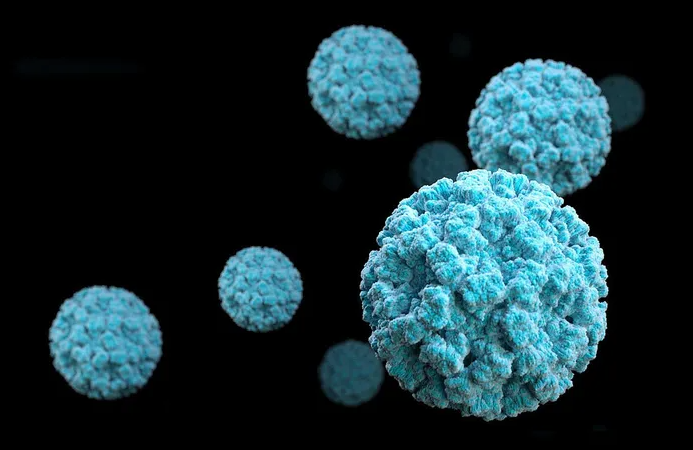 노로바이러스, Norovirus