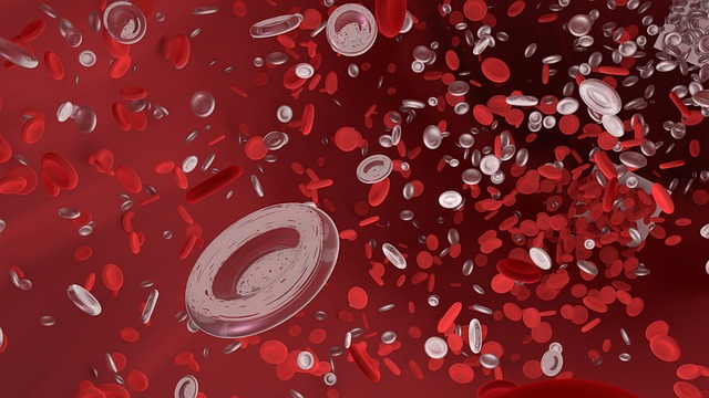 소화불량 원인
1.빈혈 anemia
적혈구, red blood cell, erythrocyte