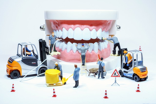 소화불량 원인
4. 부정교합 malocclusion
치아, teeth