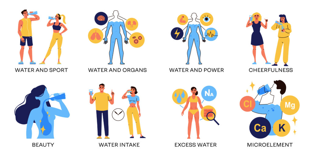 수분 섭취 습관 - 우리 몸에서 물의 쓰임