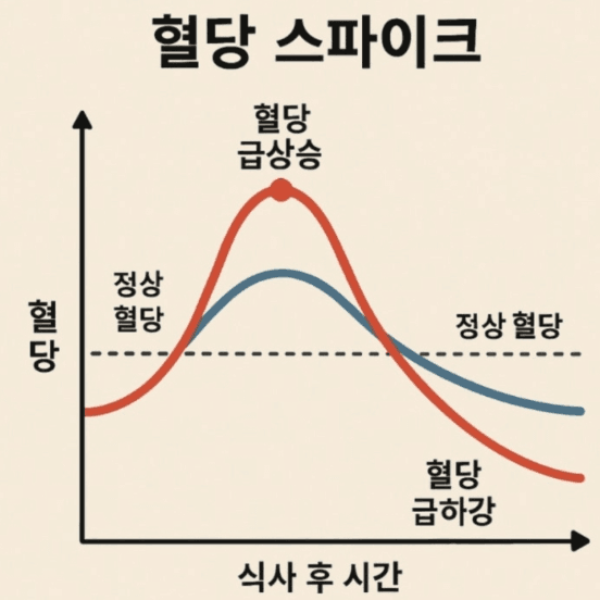 혈당 스파이크 음식 그래프